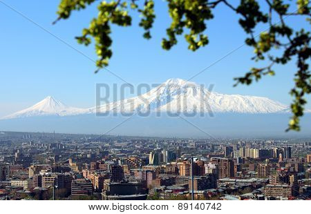 Mount Ararat And Yerevan City.