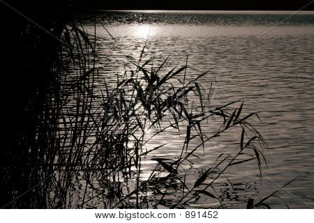 Sunset On Lake