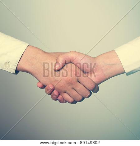 Two hands in Handshake - Business Handshaking