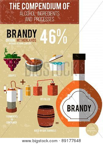 Vector Illustration - A Compendium Of Alcohol Ingredients And Processes. Brandy Info Graphic Backgro