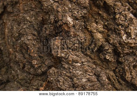 wood rich surface texture the macro