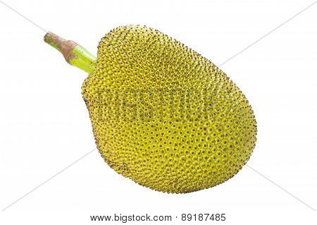Thai Jack Fruit On White Background