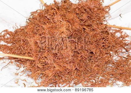 Shredded Pork