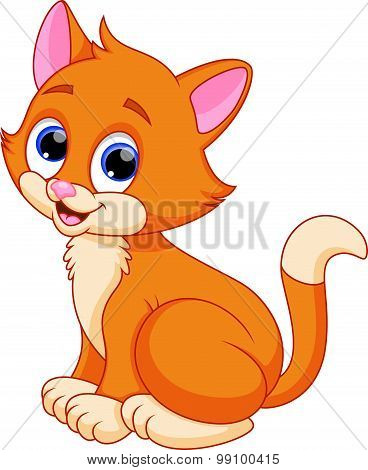 Funny cat cartoon