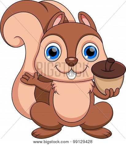 Cute squirrel cartoon