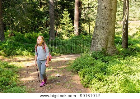 Little hiker girl in forest. Photo from Champex-Lac, Valais, swiss Alps