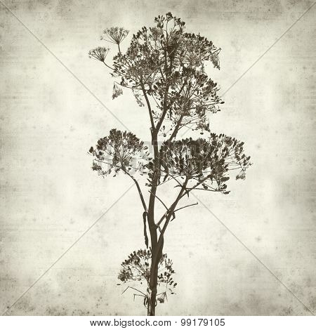 Textured Old Paper Background