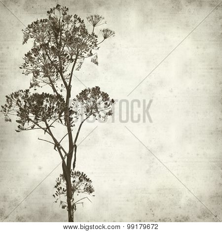 Textured Old Paper Background