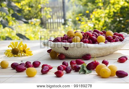 Dish With Dogwood And Plums