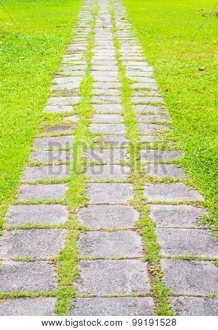The Way In Garden