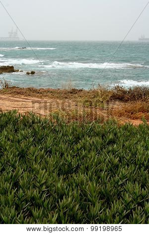 Mediterranean Coastline