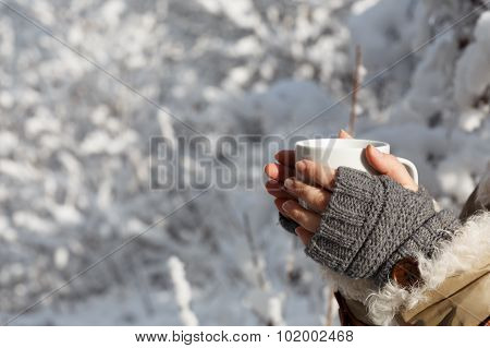 Cozy Warmth