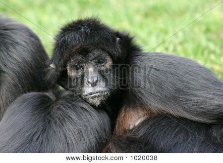 Un regard profond