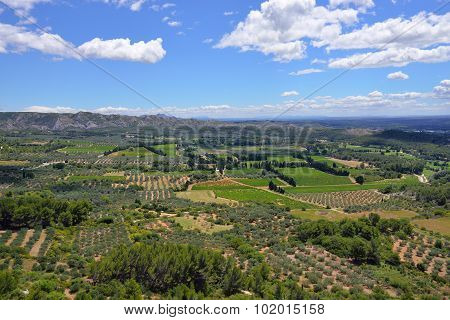 Provence Landscape