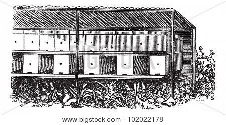Apiary or Bee yard, vintage engraving. Old engraved illustration of covered Apiary. Trousset encyclopedia (1886 - 1891).