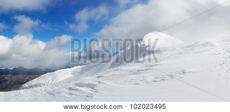 Winter landscape