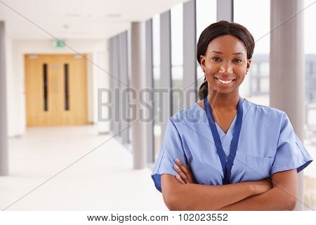 Portrait Of Female Nurse Standing In Hospital Corridor