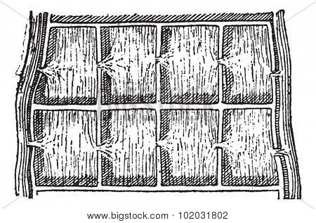 Rice field or Paddy field, vintage engraved illustration. Dictionary of words and things - Larive and Fleury - 1895.