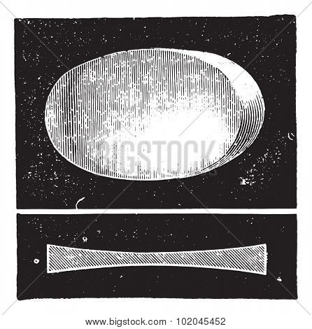 Biconcave lens, vintage engraved illustration. Usual Medicine Dictionary by Dr Labarthe - 1885.