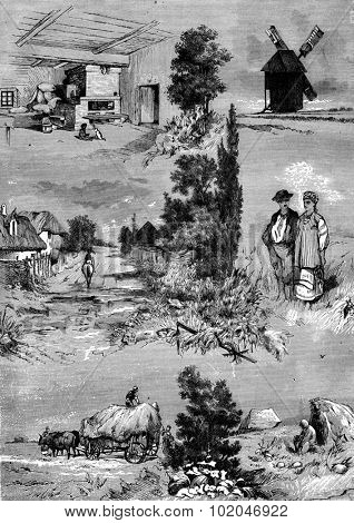 Ukraine. Inside a hut. Windmill. Road and house. Costume. Haymaking, vintage engraved illustration. Journal des Voyage, Travel Journal, (1880-81).