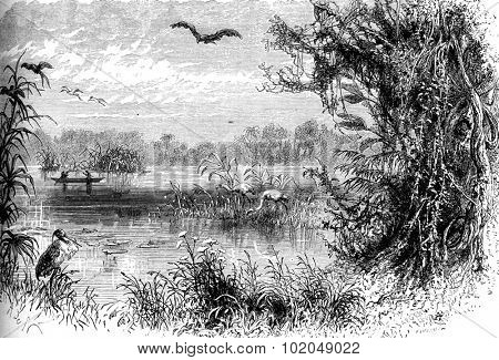 The islands of Magdalena, vintage engraved illustration. Le Tour du Monde, Travel Journal, (1872). 