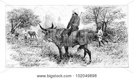 Soldier Riding a Buffalo in Angola, Southern Africa, drawing by Ferdinandus based on a sketch by Serpa Pinto, vintage engraved illustration. Le Tour du Monde, Travel Journal, 1881