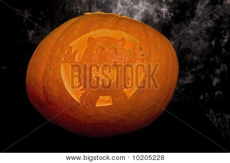 Giant pumpkin