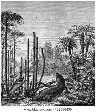 The labyrinthodonts, mastodonsaurus, vintage engraved illustration. Earth before man 1886.