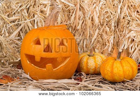 Carved Pumpkin