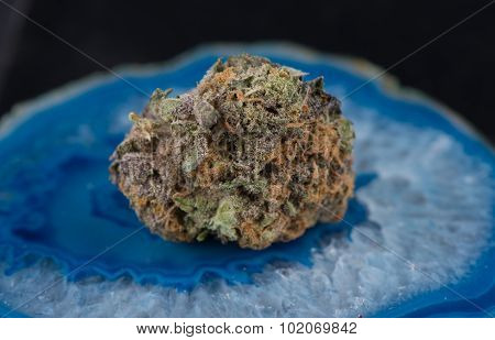 Grandaddy Purple Medicinal Medical Marijuana