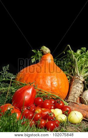 vegetables bio still life