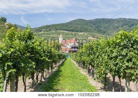 Vineyards And Buildings In Krems, Austria