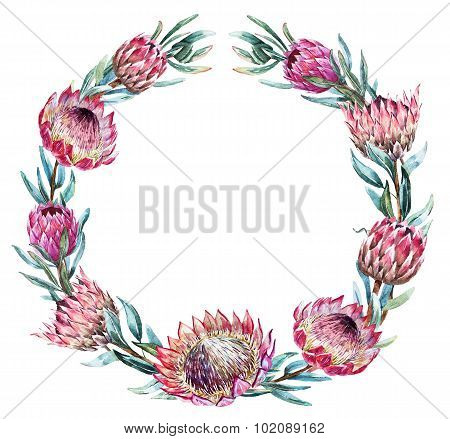 Watercolor tropical protea wreath