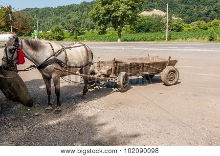 Transportation