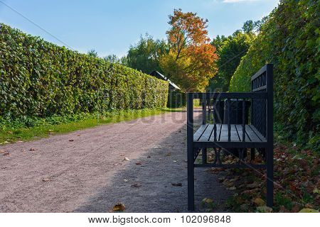 The photo shows autumn peyzazh.Ochen beautiful places.