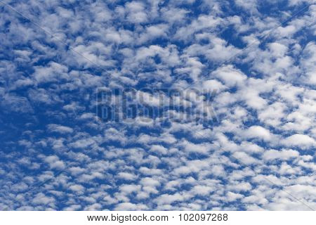 Altocumulus Clouds In Sunny Day