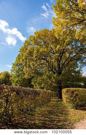 The photo shows autumn peyzazh.Ochen beautiful places.