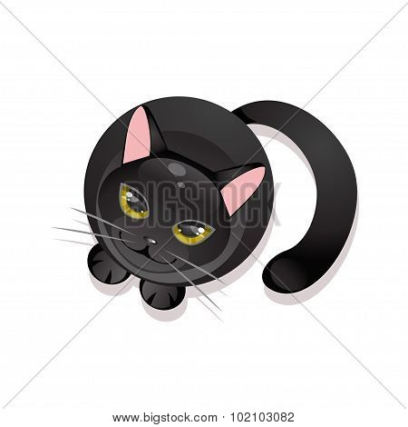 Black Cat On A White Background