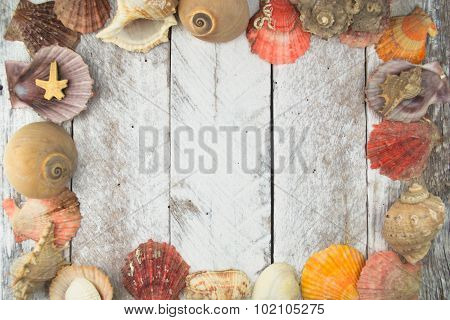 Sea shell frame on wooden background