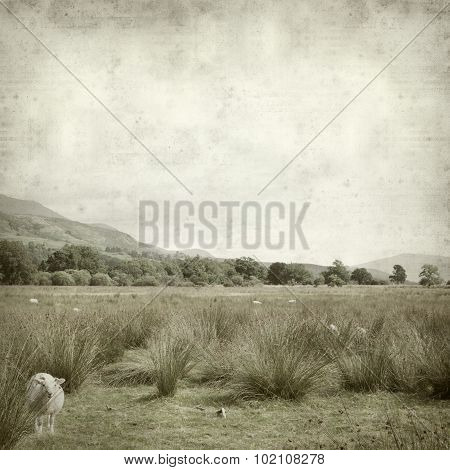 Textured Old Paper Background