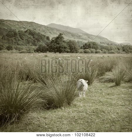 Textured Old Paper Background