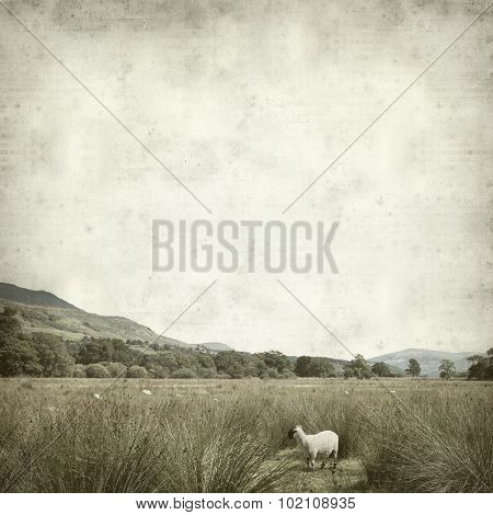 Textured Old Paper Background