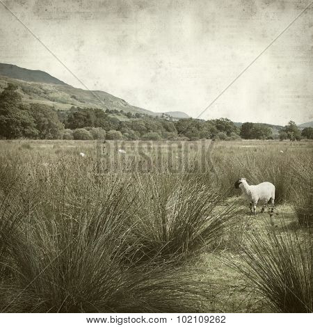 Textured Old Paper Background