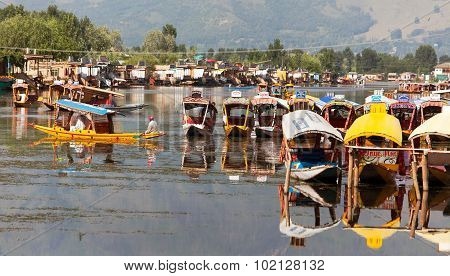 Shikara Boats On Dal Lake With Houseboats In Srinagar