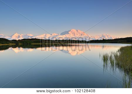 Denali Mountain And Reflection Pond