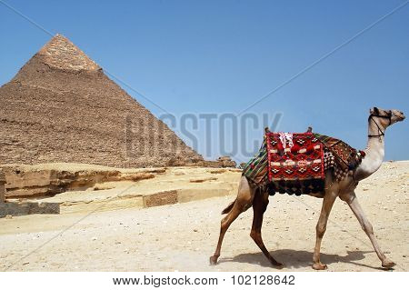 Pyramid Of Chefren, Giza, Egypt