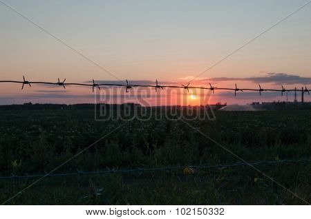 Barbed wire at sunset