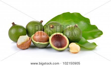 Fresh Macadamia Nut On A White Background