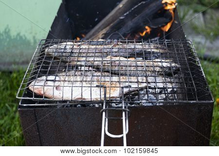 Grilled carps
