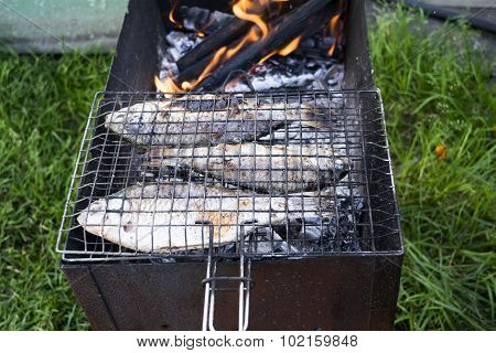 Grilled carps